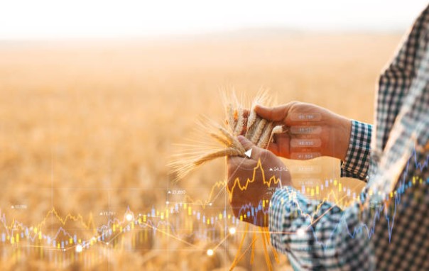 agriculture and trading