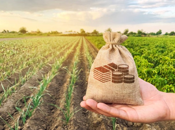 finance and agriculture